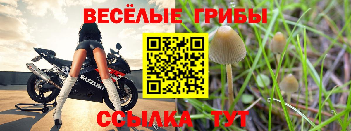 Галлюциногенные грибы Magic Shrooms Павлово