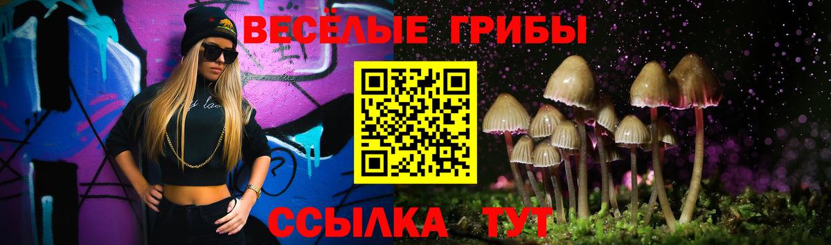 Марихуана  ГАШИШ  Павлово  Меф кристаллы  Вход с VPN  Кокаин  Alpha PVP СОЛЬ кристаллы 